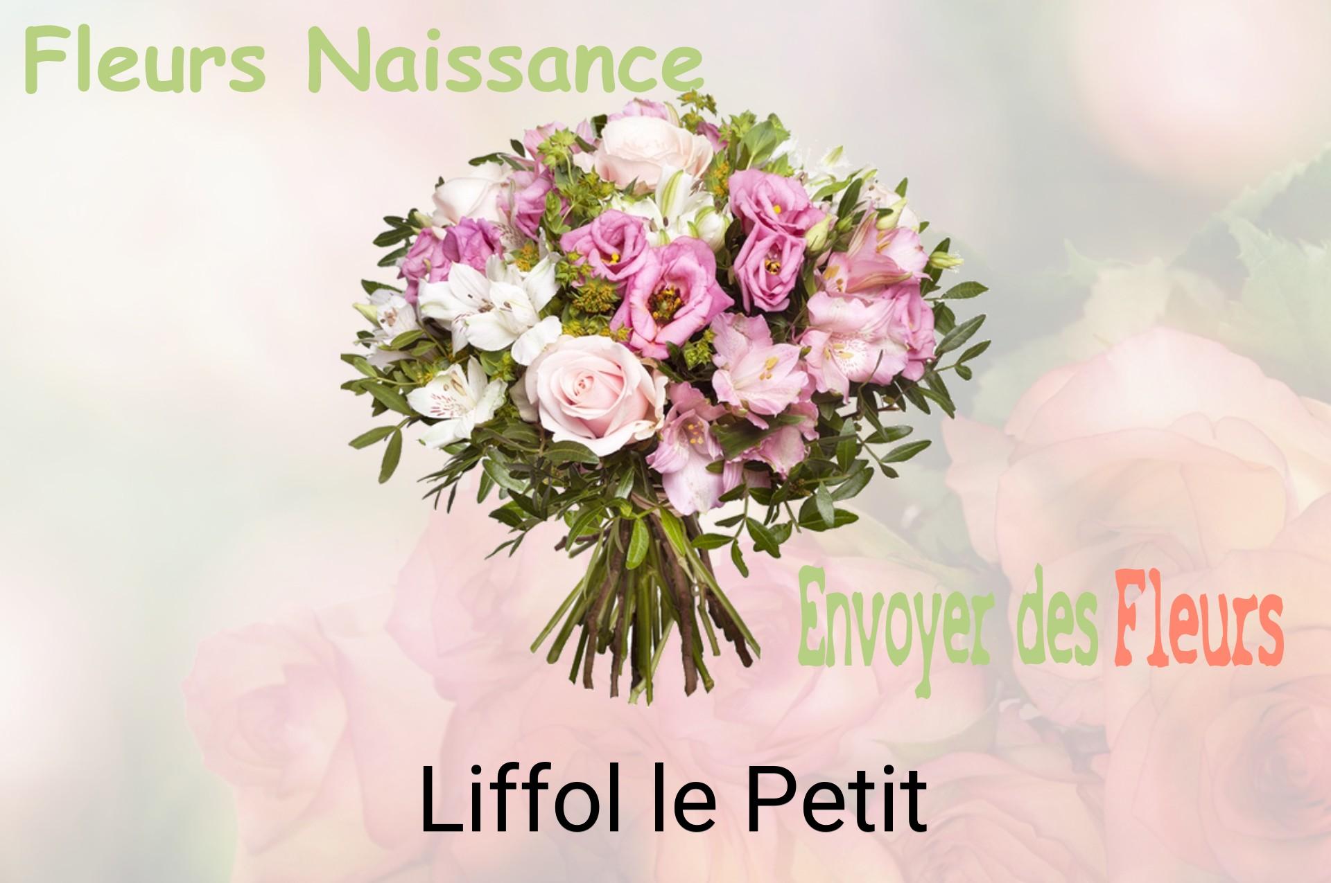 Bouquet de fleurs de naissance livré à Liffol-le-Petit